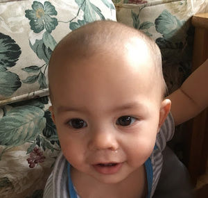 Meet your Posher, Pink fluffy unicorns